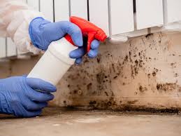 Professional Mold Inspection in Mcgregor, TX